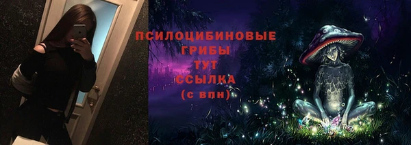 соль курить ск Алзамай