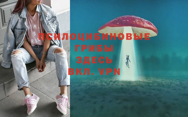 бутират Алексеевка