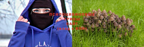 соль ск Алексин