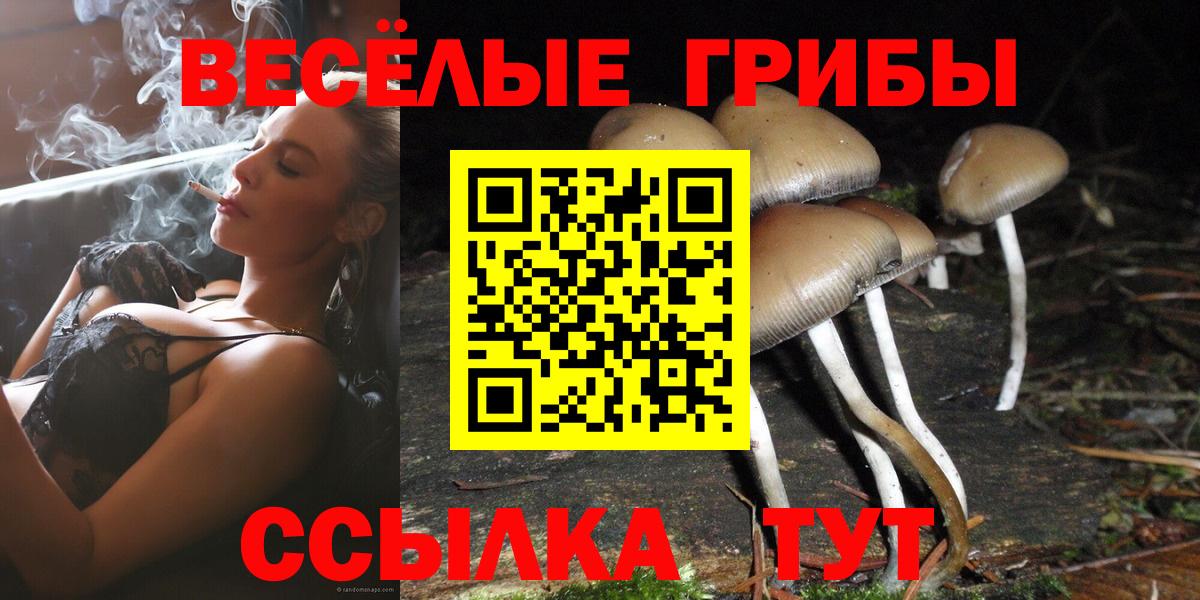 Галлюциногенные грибы мицелий Южно-Сахалинск